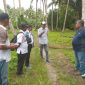 Anggota DPRD Komisi II, Morotai, Moh Akbar Mangoda bersama Kadis DKP Morotai Kunker ke lokasi rencana pembangunan Kampus Nelayan Merah Putih di Desa Pilowo 